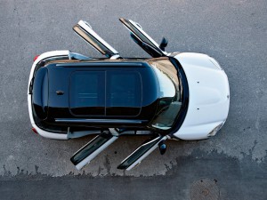 Mini countryman